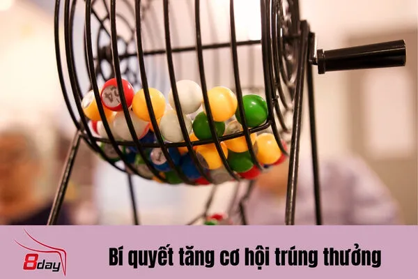 Tỷ Lệ Trúng Thưởng Xổ Số Cao Nhất 8day