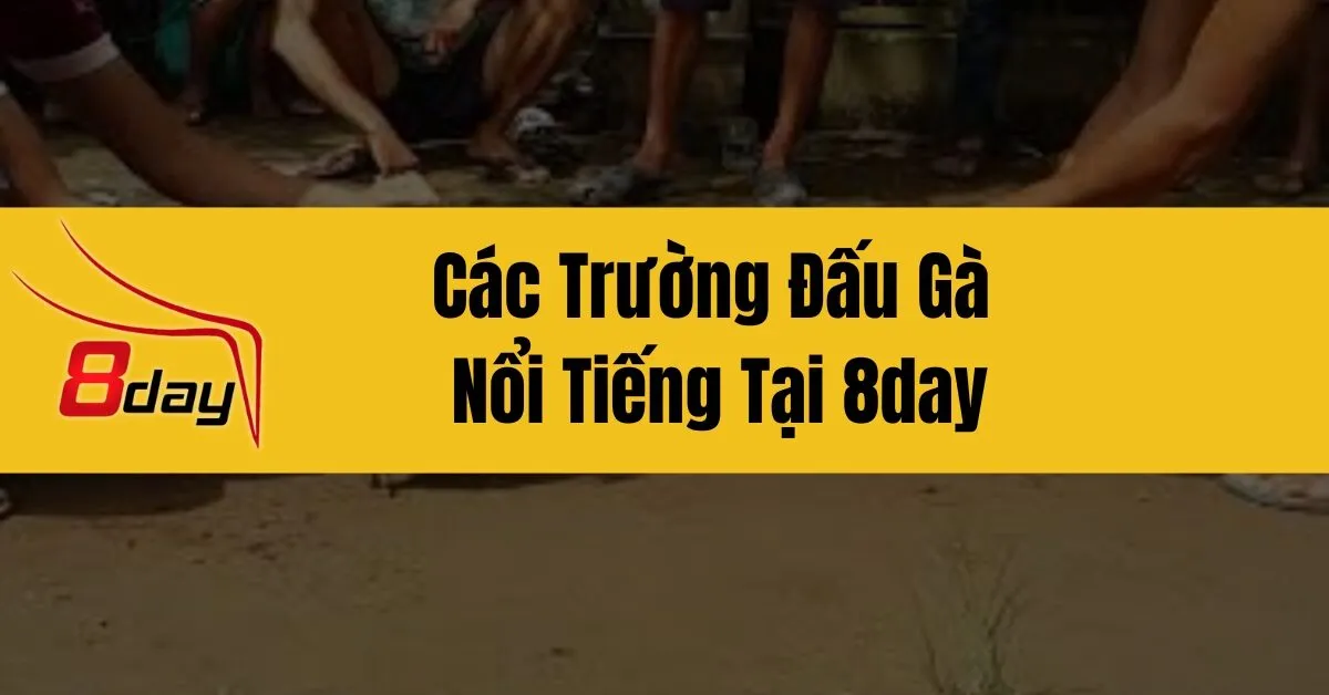 Các Trường Đấu Gà Nổi Tiếng Tại 8day