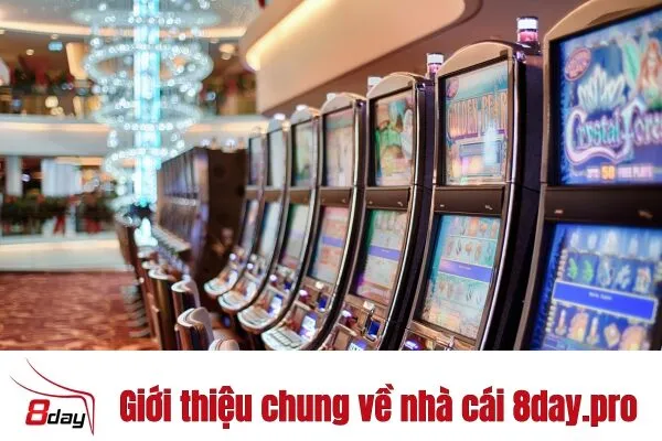 Đánh Giá Nhà Cái 8day.pro - Chơi Cá Cược Trực Tuyến An Toàn Và Đáng Tin Cậy