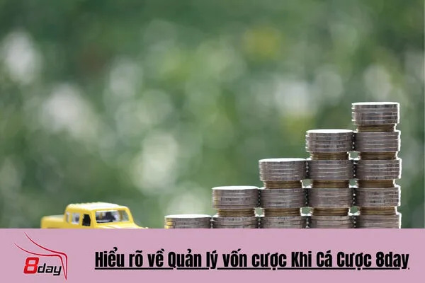 Kinh Nghiệm Quản Lý Vốn Cược Khi Cá Cược 8day