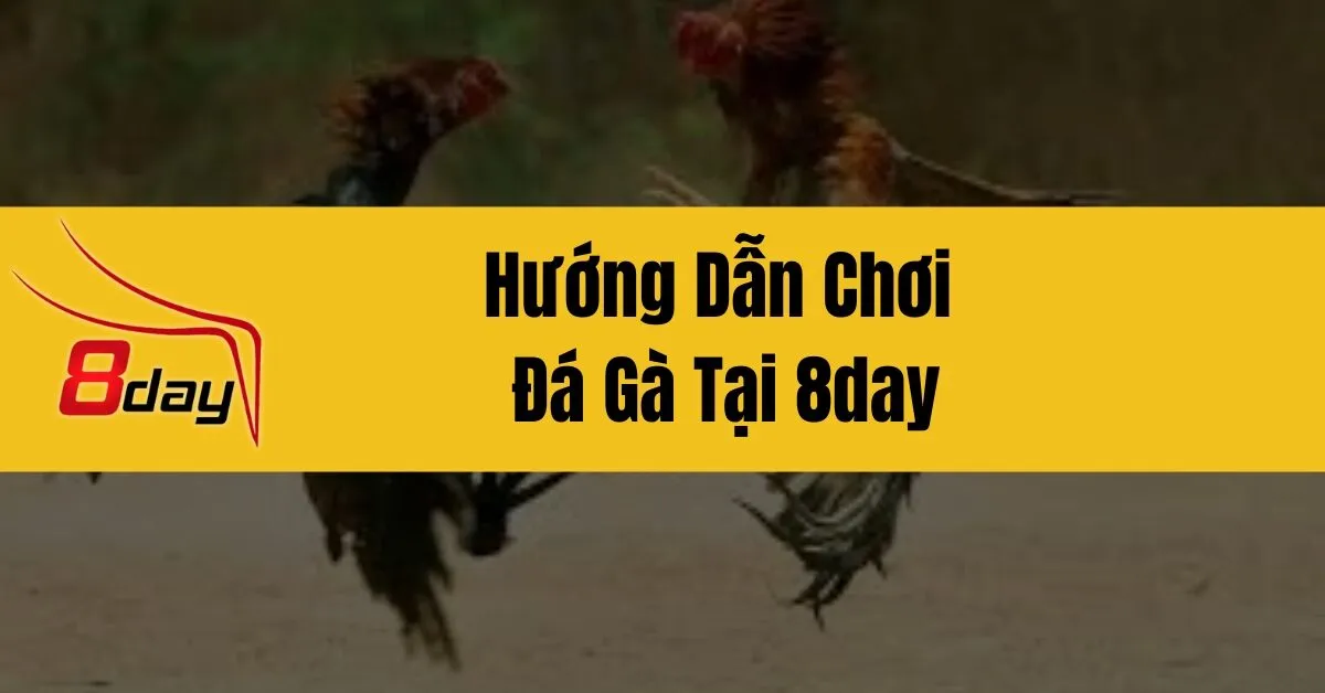 Hướng Dẫn Chơi Đá Gà Tại 8day