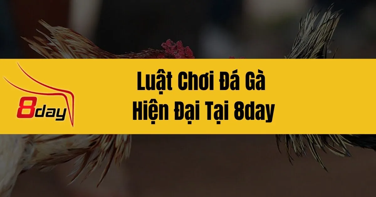 Luật Chơi Đá Gà Hiện Đại Tại 8day