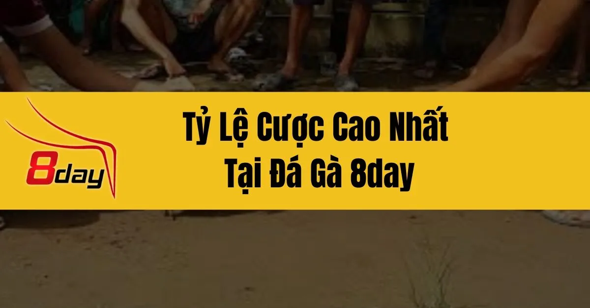 Tỷ Lệ Cược Cao Nhất Tại Đá Gà 8day